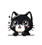 ピクセルで描く黒猫の日常（個別スタンプ：1）