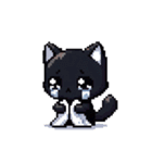 ピクセルで描く黒猫の日常（個別スタンプ：6）