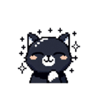 ピクセルで描く黒猫の日常（個別スタンプ：21）