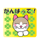 茶シロ★キュートな猫にゃんのスタンプ1（個別スタンプ：23）