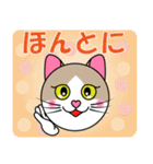 茶シロ★キュートな猫にゃんのスタンプ1（個別スタンプ：24）