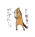 競馬を楽しむ馬2（個別スタンプ：28）