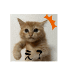 Aのすたんぷ。（個別スタンプ：2）