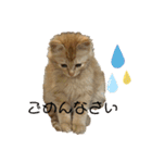 Aのすたんぷ。（個別スタンプ：4）