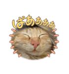 Aのすたんぷ。（個別スタンプ：9）