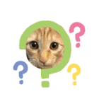Aのすたんぷ。（個別スタンプ：10）