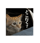 Aのすたんぷ。（個別スタンプ：13）