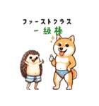 柴犬とハリネズミ（個別スタンプ：5）