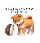 柴犬とハリネズミ（個別スタンプ：37）