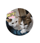 さくペイのスタンプ（個別スタンプ：3）