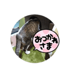 さくペイのスタンプ（個別スタンプ：7）