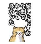 猫大好き！（大）その49 文句の多いエリー（個別スタンプ：14）