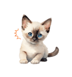 水彩 シャム猫 日常で使える（個別スタンプ：20）