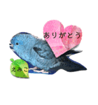 えみこのラブリーバード（個別スタンプ：1）