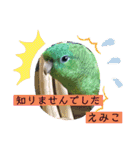 えみこのラブリーバード（個別スタンプ：5）