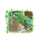 えみこのラブリーバード（個別スタンプ：7）