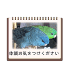 えみこのラブリーバード（個別スタンプ：11）