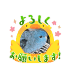 えみこのラブリーバード（個別スタンプ：12）