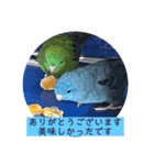 えみこのラブリーバード（個別スタンプ：15）