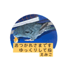 えみこのラブリーバード（個別スタンプ：19）