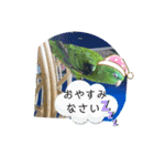 えみこのラブリーバード（個別スタンプ：20）