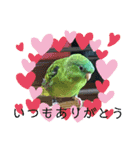 えみこのラブリーバード（個別スタンプ：21）
