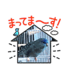 えみこのラブリーバード（個別スタンプ：22）