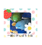 えみこのラブリーバード（個別スタンプ：23）