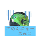 えみこのラブリーバード（個別スタンプ：24）