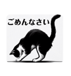 挨拶する白黒猫（個別スタンプ：14）