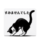 挨拶する白黒猫（個別スタンプ：15）