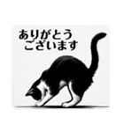 挨拶する白黒猫（個別スタンプ：16）