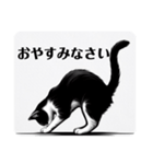 挨拶する白黒猫（個別スタンプ：18）