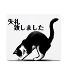 挨拶する白黒猫（個別スタンプ：22）