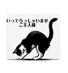 挨拶する白黒猫（個別スタンプ：23）