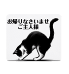 挨拶する白黒猫（個別スタンプ：24）