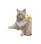 おっきいもふもふもふ（個別スタンプ：4）