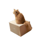 おっきいもふもふもふ（個別スタンプ：5）