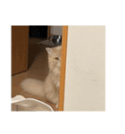 おっきいもふもふもふ（個別スタンプ：6）