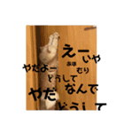 おっきいもふもふもふ（個別スタンプ：14）