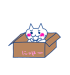 箱入りの猫の世界。（個別スタンプ：7）