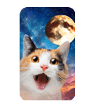 毎日面白い宇宙猫【BIGスタンプ】（個別スタンプ：2）