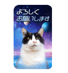 毎日面白い宇宙猫【BIGスタンプ】（個別スタンプ：3）