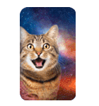 毎日面白い宇宙猫【BIGスタンプ】（個別スタンプ：4）