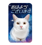 毎日面白い宇宙猫【BIGスタンプ】（個別スタンプ：5）