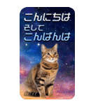 毎日面白い宇宙猫【BIGスタンプ】（個別スタンプ：6）