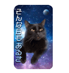 毎日面白い宇宙猫【BIGスタンプ】（個別スタンプ：9）
