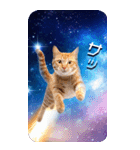 毎日面白い宇宙猫【BIGスタンプ】（個別スタンプ：11）