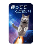 毎日面白い宇宙猫【BIGスタンプ】（個別スタンプ：12）