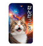 毎日面白い宇宙猫【BIGスタンプ】（個別スタンプ：17）